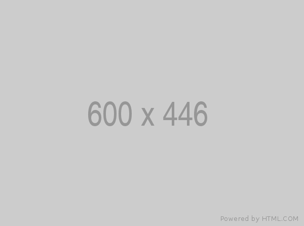 600x446